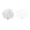 thumbnail image 3 of 2xArtificial Tree Branch Emulational Trees Home Photo Prop, 3 of 9