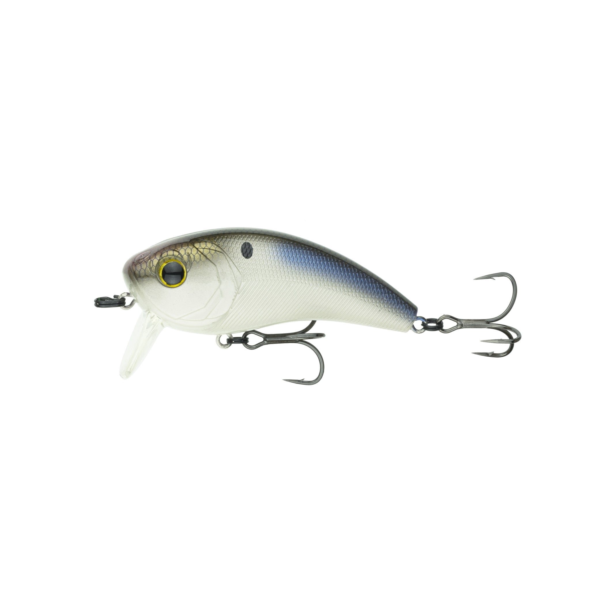 6th Sense 9 in Draw Swimbait | Free Shipping at
