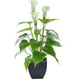 thumbnail image 1 of Artificial Flower Fake Plants Calla Lily Faux Small Potted Plant With Pot Fake Bonsai Flower For Home Office (white), 1 of 5