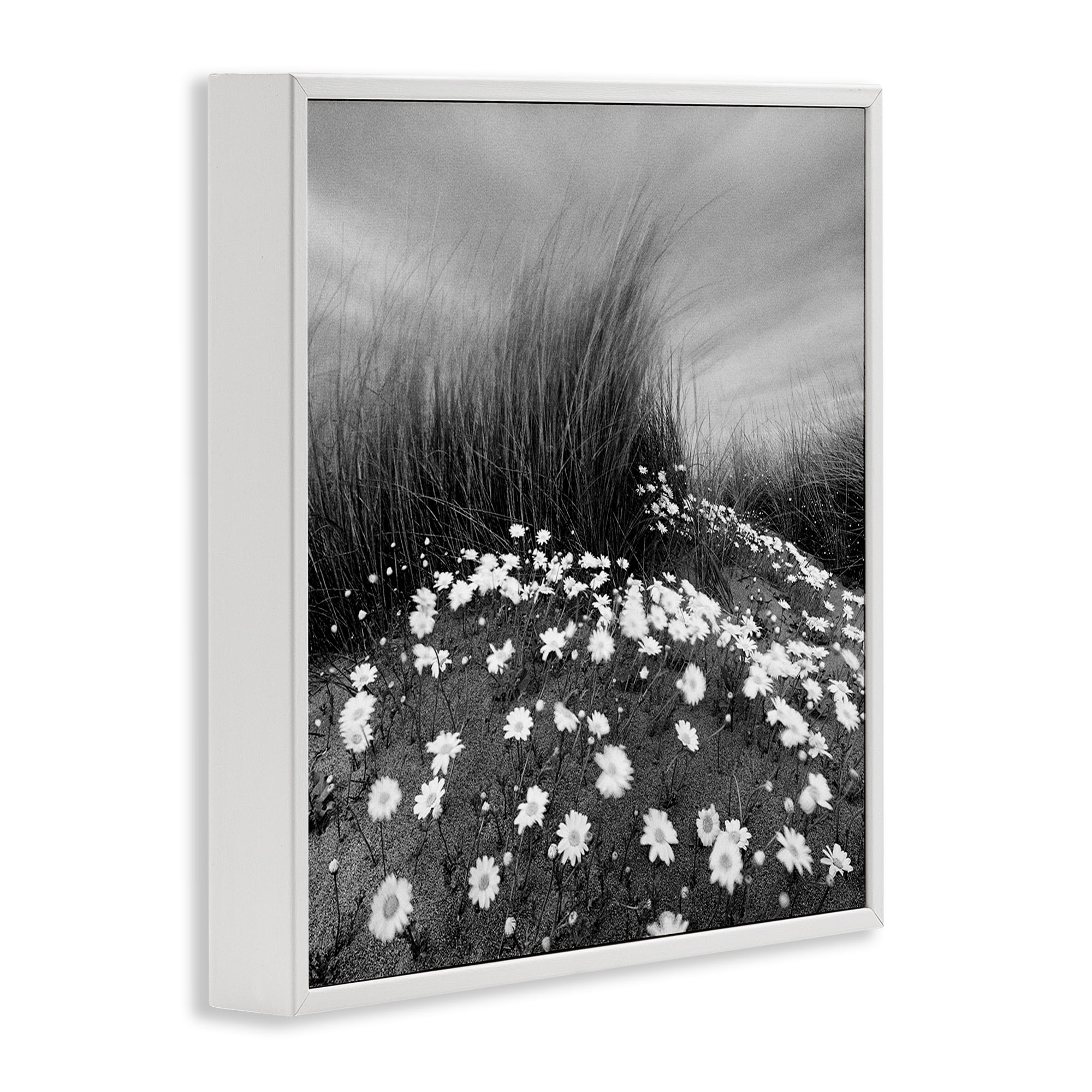 Stupell Industries Sand Daisies on Hill Landscape Photography White Framed Art Print Wall Art, 12 x 12