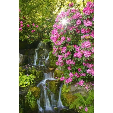 Spring Flowers in Crystal Springs Rhododendron Garden, Portland, Oregon Print Wall Art By Craig (Best Time To Visit Crystal Springs Rhododendron Garden)