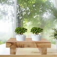 thumbnail image 5 of AURARMLET Khaki Rustic Wood Step Stool  Small Decorative Display 1Pc Bedroom, 5 of 8