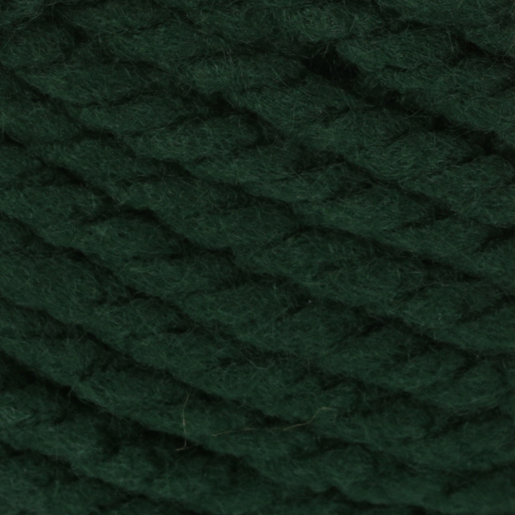 Bernat Softee Chunky Yarn (100G/3.5Oz), Dark Green