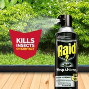 Raid Wasp & Hornet Insect Killer 33, Bug Spray & Kills Entire Nest, 17.5 oz