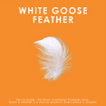 thumbnail image 3 of White Goose Feather Comforter - All Season - King Size, 3 of 8