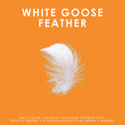 White Goose Feather Comforter - All Season - King Size