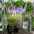 thumbnail image 5 of RotHome Artificial Wisteria Hanging Flowers Silk Vine Garland Faux Purple Wisteria Flowers Vines for Wedding Arch Party Garden Home Decor Table Backdrop 1 Pc, 5 of 5