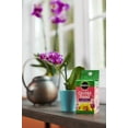 thumbnail image 5 of Miracle-Gro Water Soluble Orchid Food, 8 oz., For All Acid-Loving Plants, 2-Pack, 5 of 9