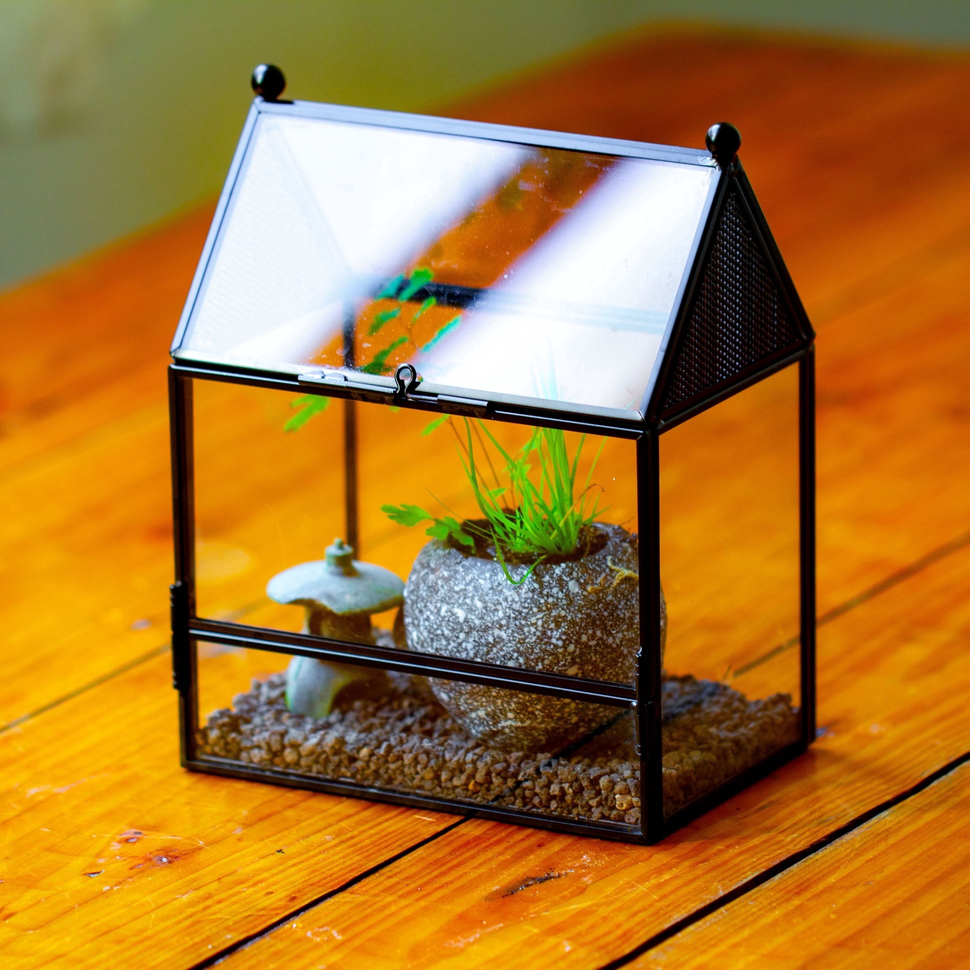 NCYP Glass Enclosure with Vent Holes for Insect, Spiders - 5.8'' x 3.8'' x 6.8'', Small Closed Front Opening Door Succulent Terarium - House Shape Habitat, Home Decor Black (No Plants)