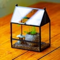 thumbnail image 3 of NCYP Glass Enclosure with Vent Holes for Insect, Spiders - 5.8'' x 3.8'' x 6.8'', Small Closed Front Opening Door Succulent Terarium - House Shape Habitat, Home Decor Black (No Plants), 3 of 12