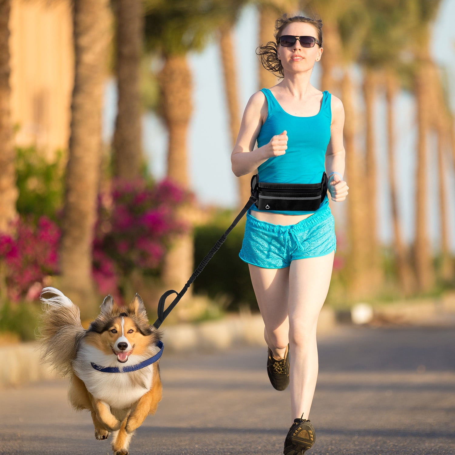 Haooryx  Dog Leash, Waist Bag Kit for Walking Jogging Running