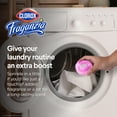 Clorox Fraganzia Laundry Scent Booster Crystals in Spring Scent Easy