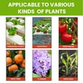 50Ml Moonspry Plant Nutrition Supplement Pot Flowers Vegetables