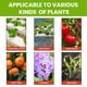 thumbnail image 5 of Suplemento nutricional para plantas MoonSpry, 50ml, maceta, flores, verduras, planta hidropónica, solución nutritiva de raíz fuerte, 5 of 5