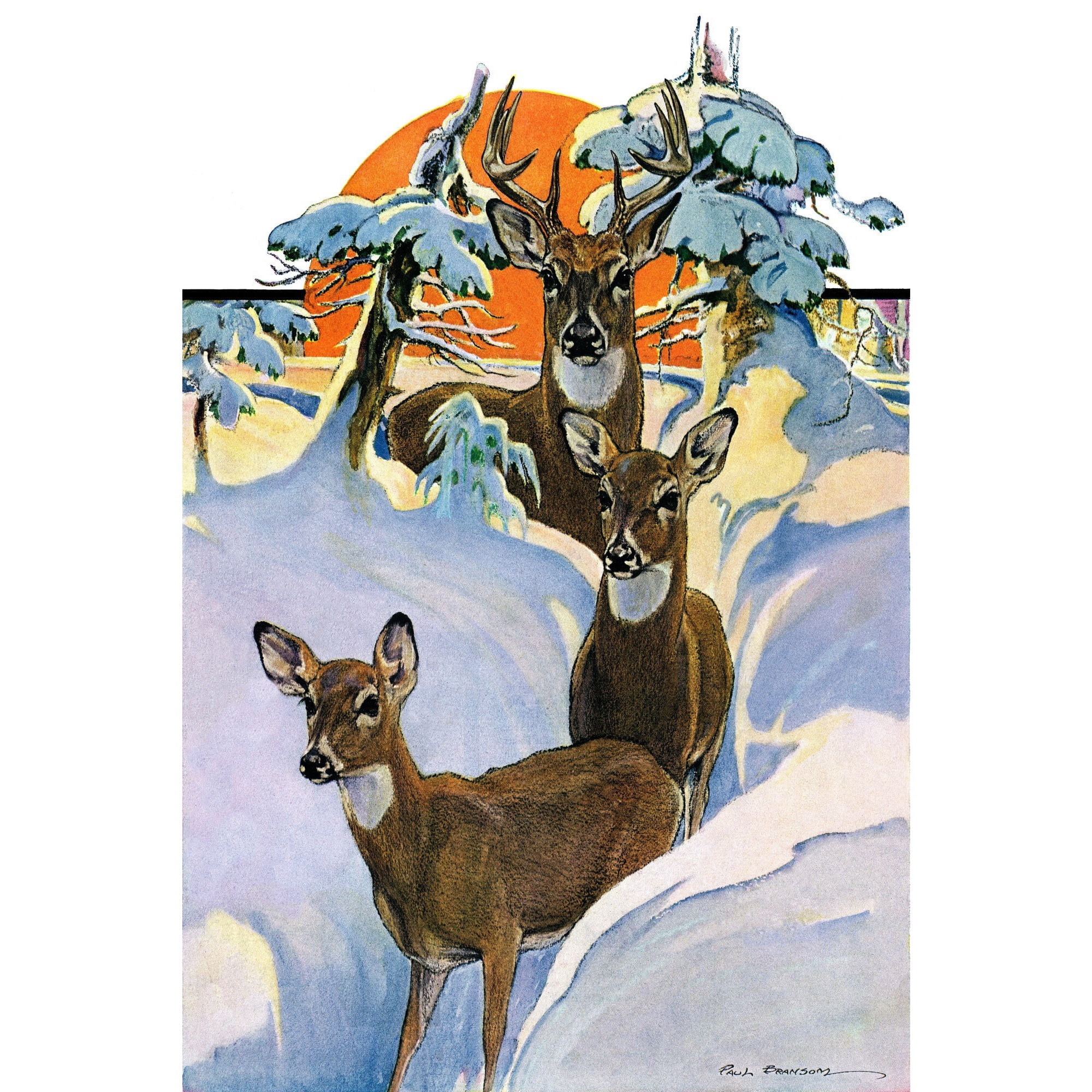 MARMONT HILL  - 'Snow Deer' Painting Print on Wrapped Canvas - Multi-Color 12 x 18