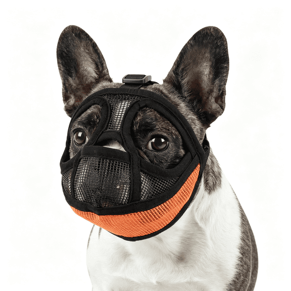 GASTROPOD Short Snout Dog Muzzle,Breathable Soft Mesh French Bulldog Muzzle for Flat Faced Dogs,Adjustable to Prevent Scavenging,Allow Grooming,Drinking&Panting with Tongue Out (Orange,M)