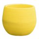 thumbnail image 5 of /Cactus tenedor bonsái agujero de Amarillo Sunnimix mini macetas suculentas, 5 of 8