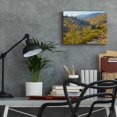 thumbnail image 6 of Epic Art 'Desert Ocotillo Landscape' by John Gavrilis, Acrylic Glass Wall Art, 16"x12", 6 of 8