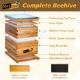 thumbnail image 2 of Kit de inicio de colmenas para abejas MayBee de 10 marcos con suministros, 2 of 7