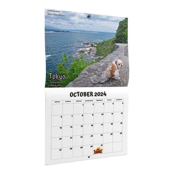 Calendario De Adviento 2025 Para Amantes De Los Perros – 24 Colgantes Acrílicos 2D De 26x18 Cm, Cuenta Regresiva Navideña Decorativa