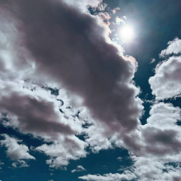 The Kestrels - Better Wonder - Music & Performance - Vinyl