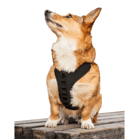 UPC: 0810080630611 | K9 Sport Harness with Optional Custom Embroidery