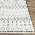 thumbnail image 3 of Hauteloom Benezett Living Room, Bedroom Area Rug - Bohemian, Transitional - Plush Pile - White, Gray - 7'10" x 10'2", 3 of 7