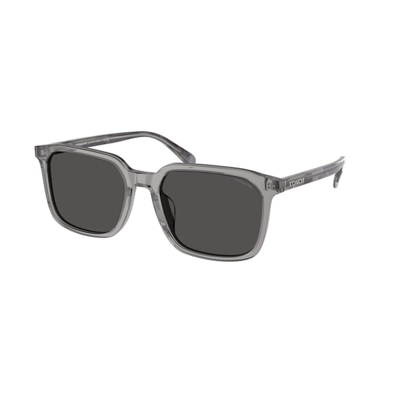 Sunglasses Coach HC 8411 U 584987 Cw405 Transparent Grey So