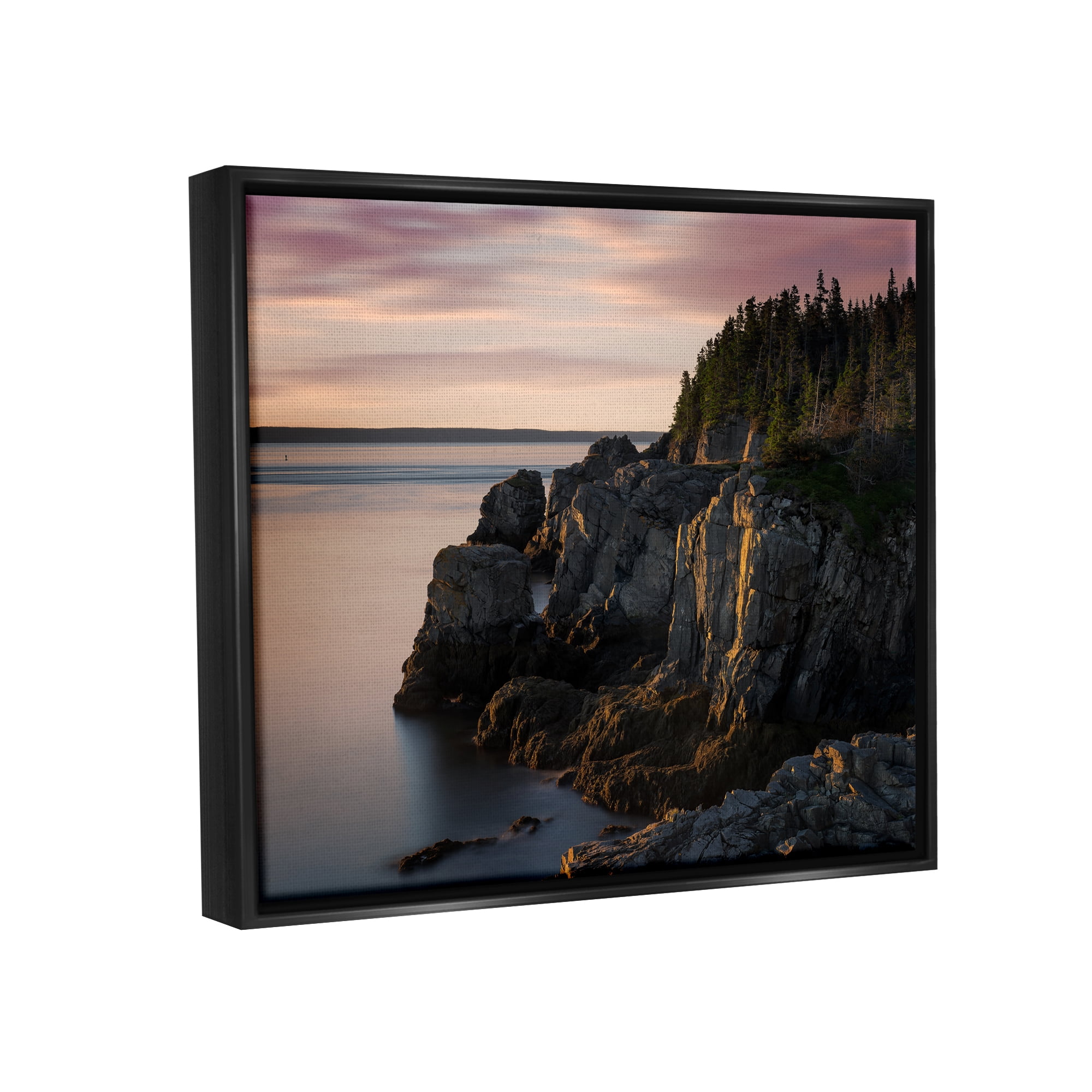 Stupell Rocky Cliff Seaside Nature Landscape Photography Black Floater Framed Art Print Wall Art