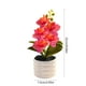 thumbnail image 3 of Bonsái de flores de seda Phalaenopsis • Orquídea artificial roja rosa • Decoración de escritorio realista • 8,66" de altura • Vasija lastrada para centros de mesa de bodas y oficinas, 3 of 6