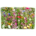 thumbnail image 2 of X-Seed 440AS0084UC 1 lbs X-Pand Ultra Premium Wildflowers Seed Instant Flower Kit, 2 of 2