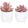 thumbnail image 1 of 2 Macetas De Cerámica Blanca Plantas Artificiales Suculentas, Mini Plantas Suculentas Artificiales, Plantas Falsas Para Decoración De Estantes, Baño, Dormitorio, Decoración De Oficina, D, 1 of 5