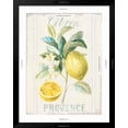 thumbnail image 3 of Art.com Floursack Lemon IV Art Print by Danhui Nai, Black Frame Wall Art, 32" x 40", 3 of 5