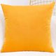 thumbnail image 2 of Juego de 2 fundas de cojín de terciopelo amarillo - Funda de almohada de 45 x 45 de terciopelo suave - Fundas de cojín con cierre de cremallera oculto, para cojines de sofá y cojines decorativos, 2 of 5