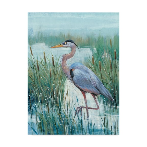 Tim Otoole 'Marsh Heron Ii' Canvas Art