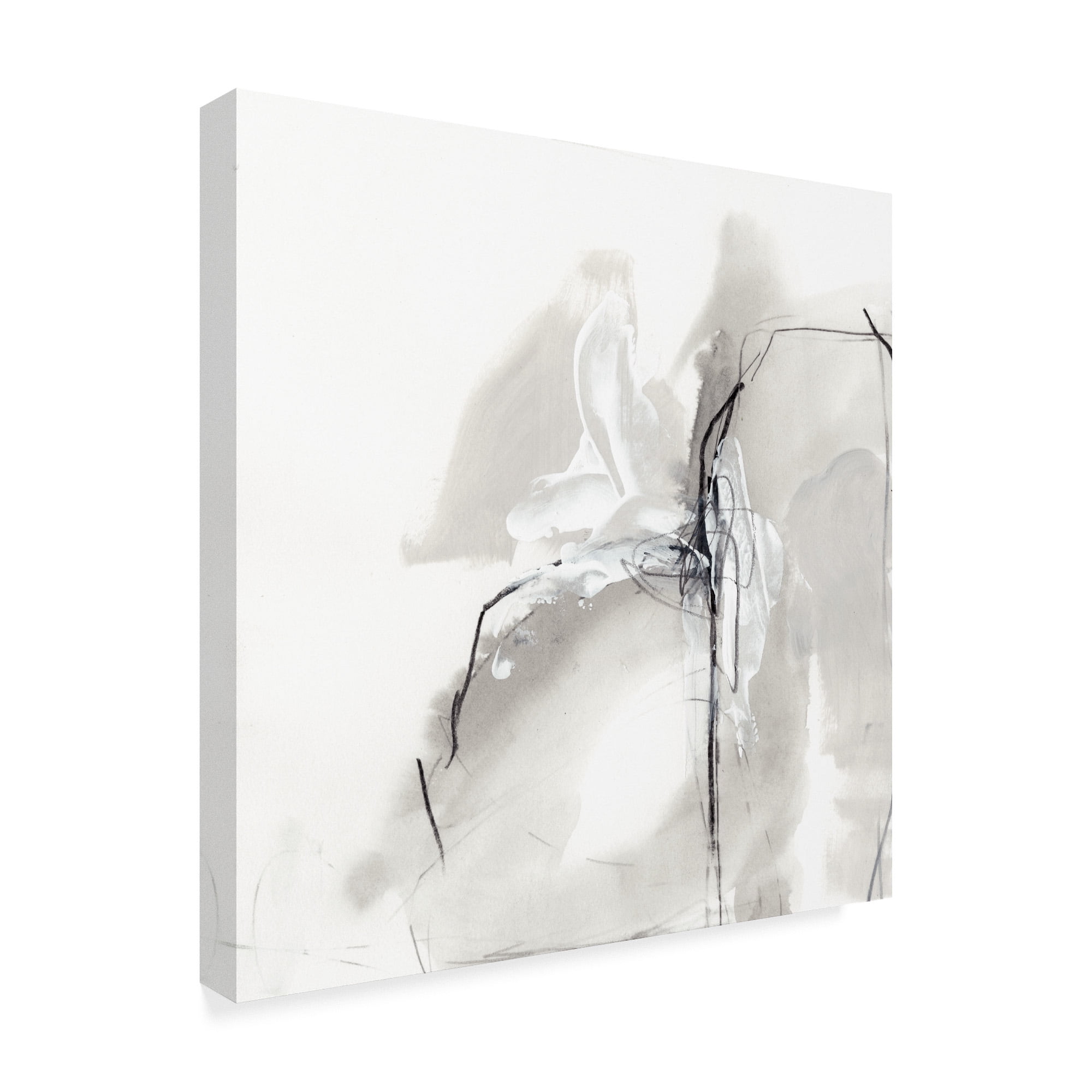 Trademark Fine Art 'Monochrome Gestures I' Canvas Art by June Erica Vess