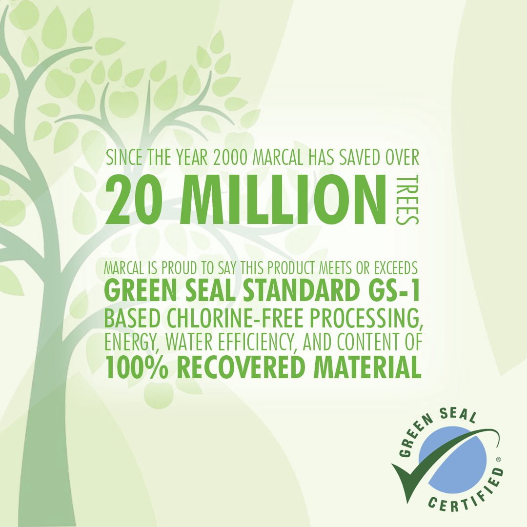 Eco Friendly 100% Recycled Toilet Paper, 2 Ply Bath Tissue 242 Sheets Per Roll, 48 Rolls Individually Wrapped,No Dyes, White