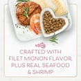 thumbnail image 5 of Purina Fancy Feast Dry Cat Food Filet Mignon Flavor with Seafood and Shrimp, 3 lb Bag, 5 of 15