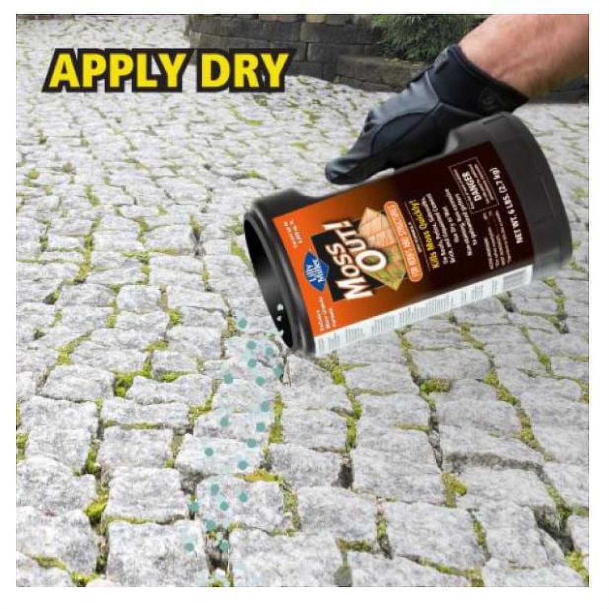 Lilly Miller Moss Out