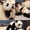 Black+White(1PC)New, variant on Panda Bear Stuffed Animal Toy,Realistic Emotional Support Panda Healing on Demand The Pandy Hug Motion,Ultra-Soft Emotional Support Stuffed Animal Plush Toy for Stress Relief & Comfort