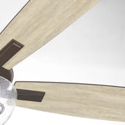 Quorum Lighting - Ovation - 5 Blade Ceiling Fan with Light Kit In Transitional
