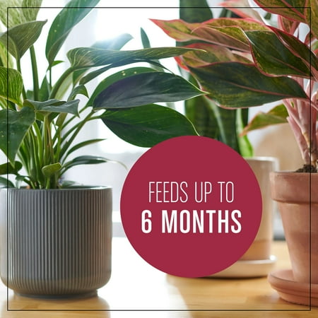 Miracle-Gro Houseplant Potting Mix 4 qt. - Black