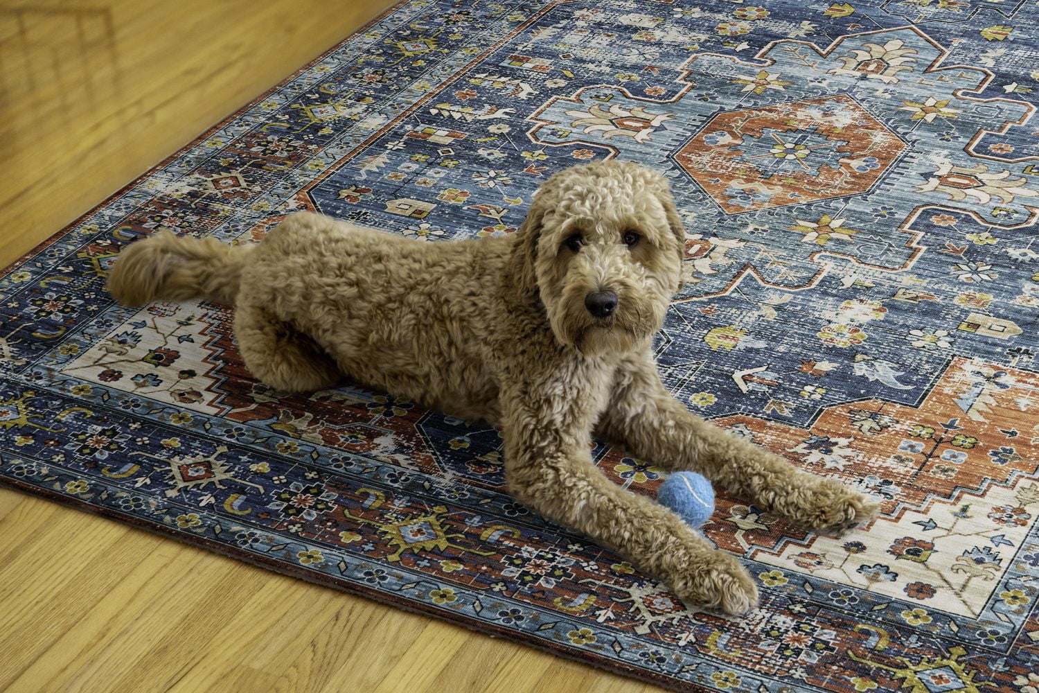 Tapis lavable Markum 5 pi x 7 pi sarcelle et rouille