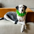 thumbnail image 4 of Midlee St. Patrick's Day Shamrock Decorative Dog Collar (Small), 4 of 7