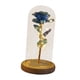 thumbnail image 1 of Eternal Flowers Sunnimix Flores eternas En cúpula Redonda Con Luces de Hadas azul, 1 of 8