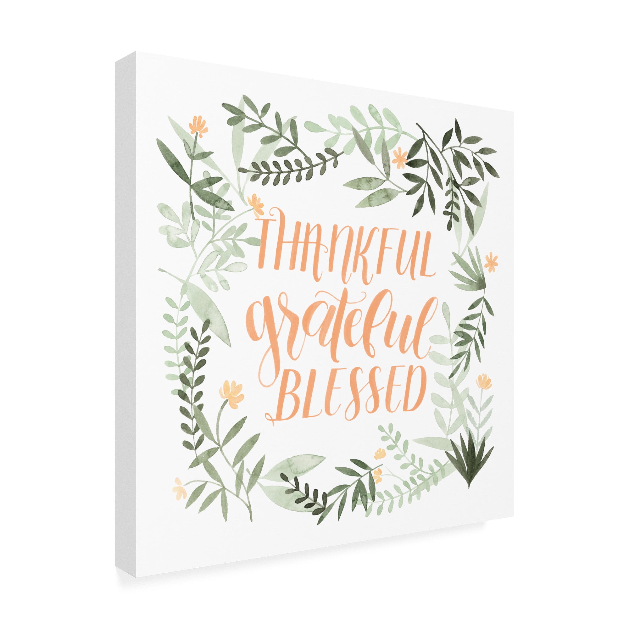 Trademark Fine Art 'Grateful II' Canvas Art by Grace Popp
