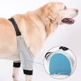 thumbnail image 3 of WINDLAND Protective Dog Elbow Sleeve Brace Against Licking Adjustable Fit Elbow Brace Pet Leg Hock Joint Wrap Support Aids, 3 of 13