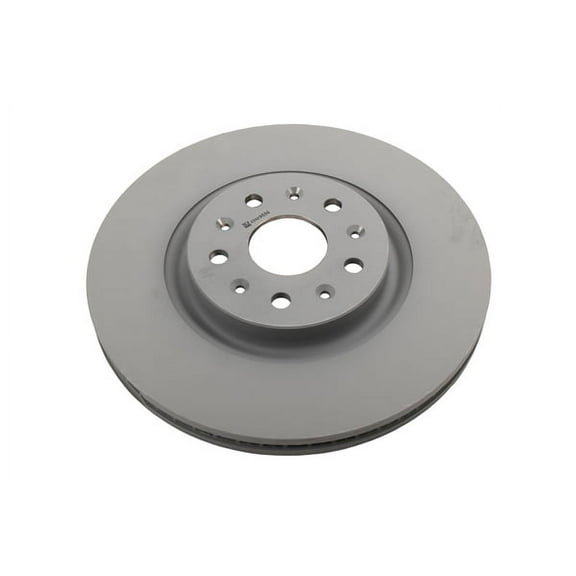 GM Genuine Parts Rear Brake Rotor