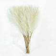 thumbnail image 7 of Specollect Clearance 20Pcs Faux Pampas Grass Decor 17.71in/45cm Tall Artificial Large Pompous Pompas Floral Fluffy Fake Plants Floor Vase Filler for Wedding Kitchen Home Boho Decorations, 7 of 7