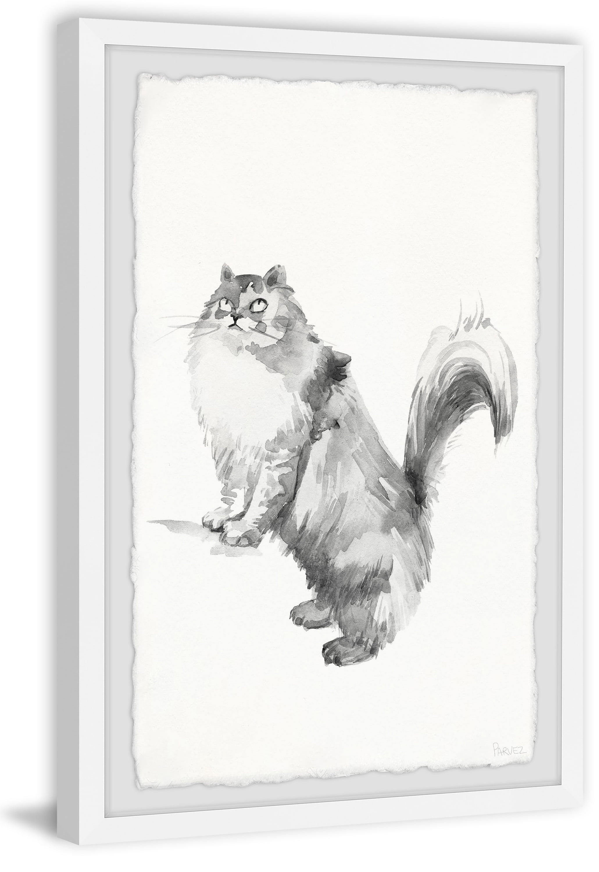 Parvez Taj Gray Maine Coon Framed Wall Art